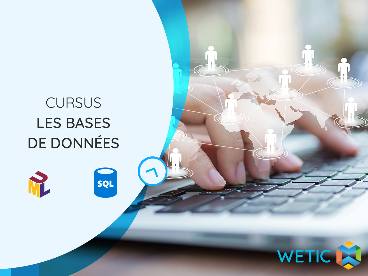 Les Bases de Données  Wetic  Formations IT