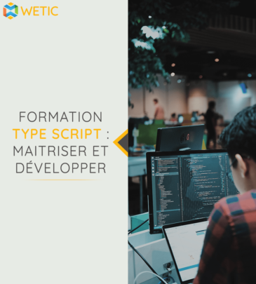 Type script : Maitriser et développer