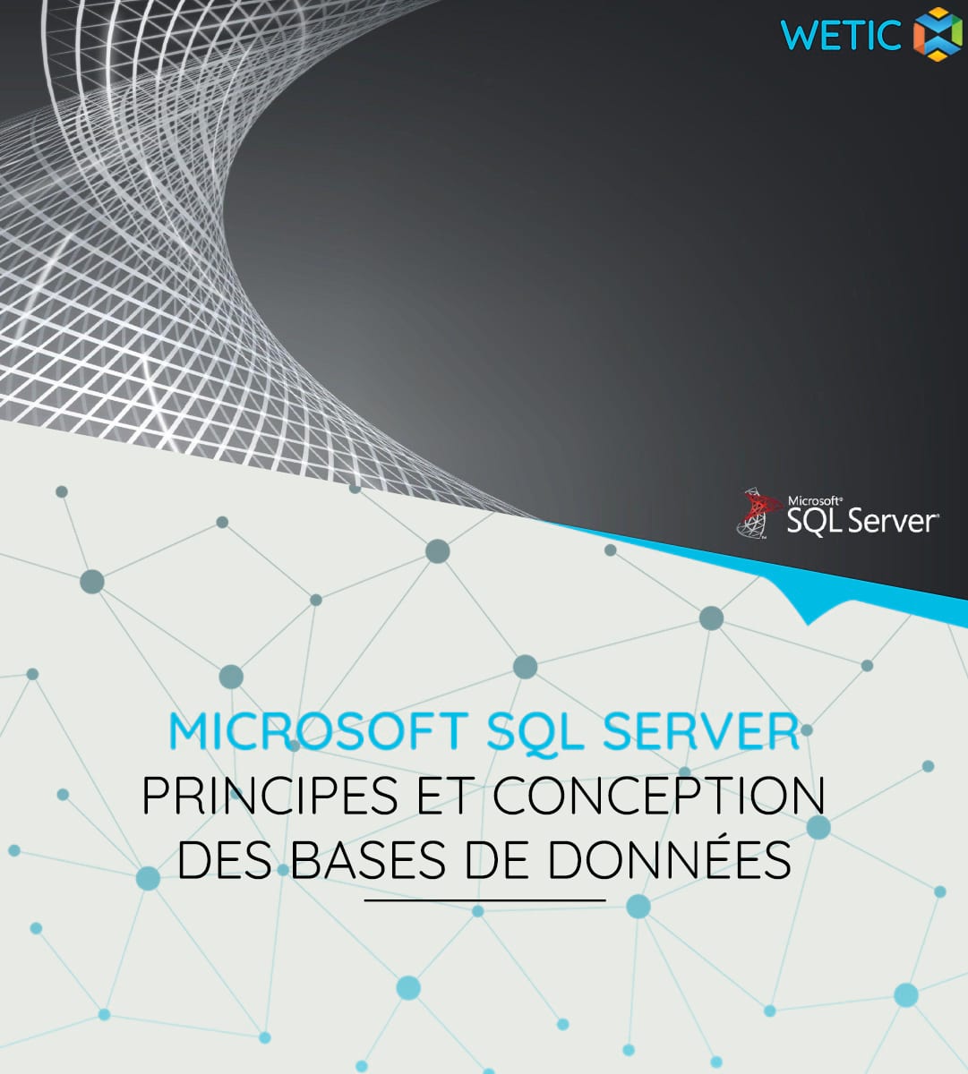 Microsoft SQL Server – Principes Et Conception Des Bases De Données ...