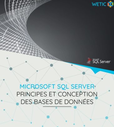 Microsoft SQL Server – Principes Et Conception Des Bases De Données