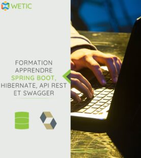 Apprendre Spring Boot, Hibernate, API REST et Swagger