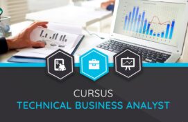 Technical Business Analyst